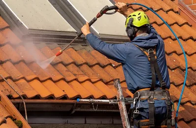 Démoussage et hydrofuge de toiture à Anthon